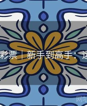 j9娱乐·彩票｜新手到高手：运营速查