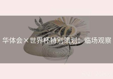 华体会×世界杯特别策划：临场观察