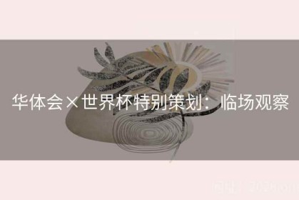 华体会×世界杯特别策划：临场观察