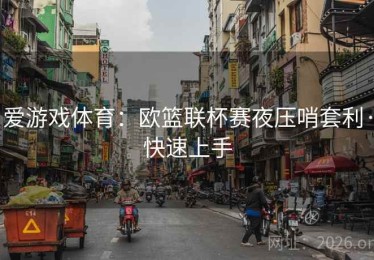爱游戏体育：欧篮联杯赛夜压哨套利·快速上手