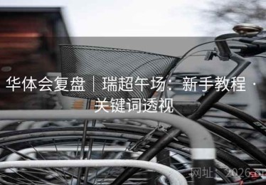 华体会复盘｜瑞超午场：新手教程 · 关键词透视