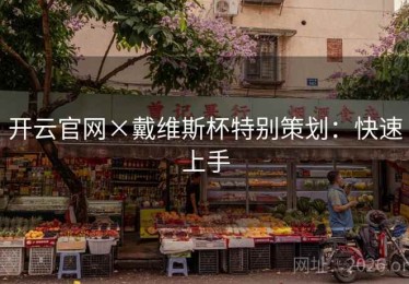 开云官网×戴维斯杯特别策划：快速上手
