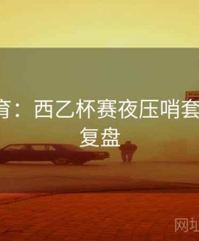 6686体育：西乙杯赛夜压哨套利·战术复盘