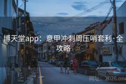 博天堂app：意甲冲刺周压哨套利·全攻略