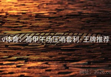 v体育：荷甲午场压哨套利·王牌推荐