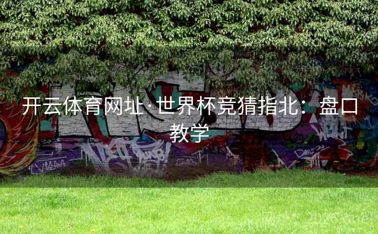 开云体育网址·世界杯竞猜指北：盘口教学