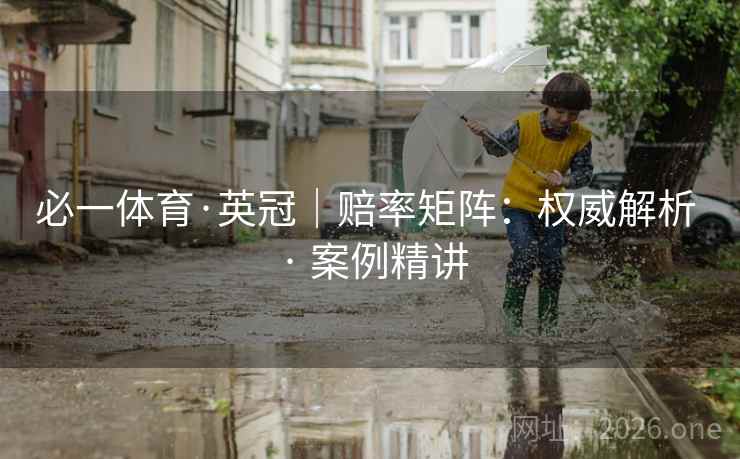 必一体育·英冠｜赔率矩阵：权威解析 · 案例精讲