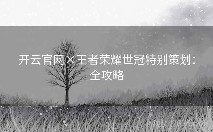 开云官网×王者荣耀世冠特别策划：全攻略